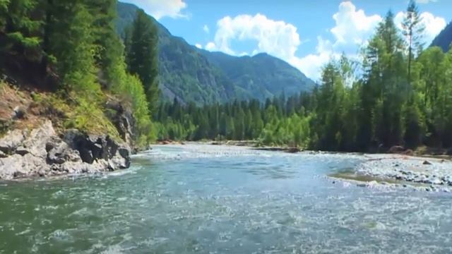 Агафья Лыкова. Чем болели и как лечились отшельники Лыковы смотреть онлайн