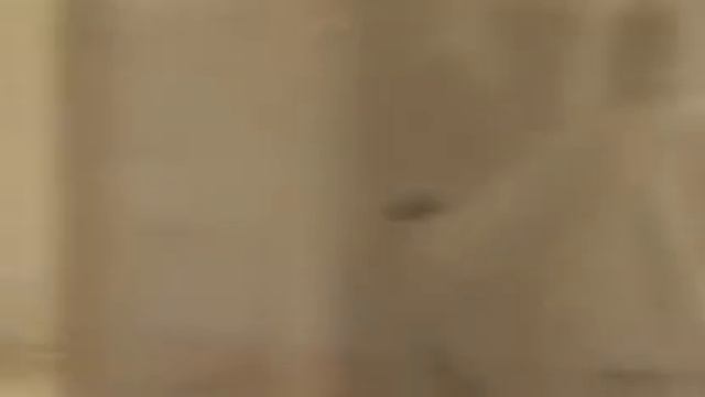 Нанесение шпатлевочных материалов аппаратами фирмы Graco смотреть онлайн