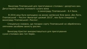 @Зимостійкий виноград для білого вина Кристал і Платовський  Ч 3