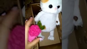 Обзор на кошечку Лили