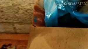 КАК ЗАМЕНИТЬ РУЛЕВУЮ КОЛОНКУ НА ВАЗ 2107