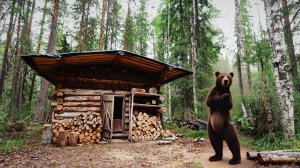 МЕДВЕДЬ СЛОМАЛ ОКНО В ИЗБЕ/ КАДРЫ С ФОТОЛОВУШКИ / ЖИЗНЬ В ЛЕСУ