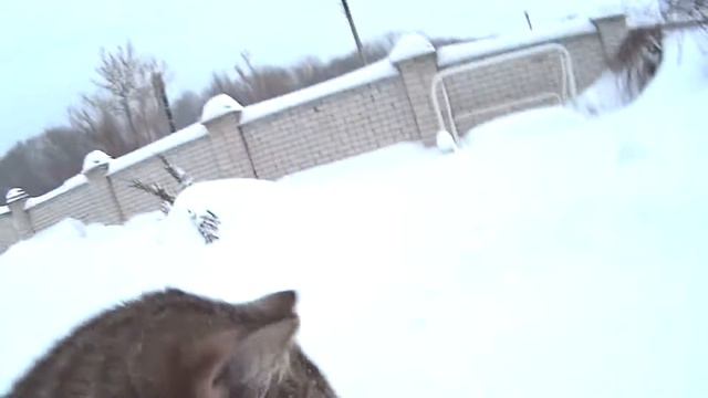 Толстяк МАКС и СНЕЖНЫЕ ВАННЫ ;) смотреть онлайн