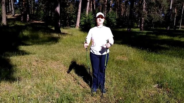 Скандинавская ходьба: заминка и ее влияние на внутренние органы смотреть онлайн