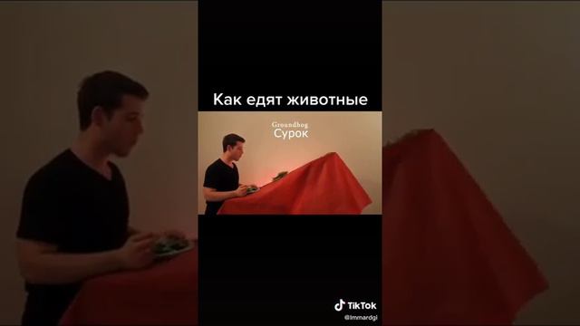 Как едят животные, глазами людей.