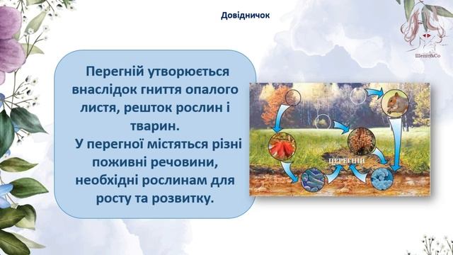 Як утворюється ґрунт. Дослідження складу ґрунту. 2 клас смотреть онлайн
