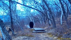 Сихотэ-Алинский заповедник | 8.04.2023