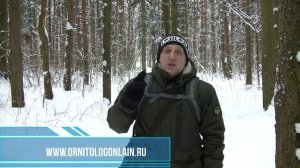 Четыре правила для поддержания здоровья домашних птиц..mp4