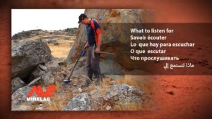 Minelab Eureka Gold Metal Detector Assembly Guide