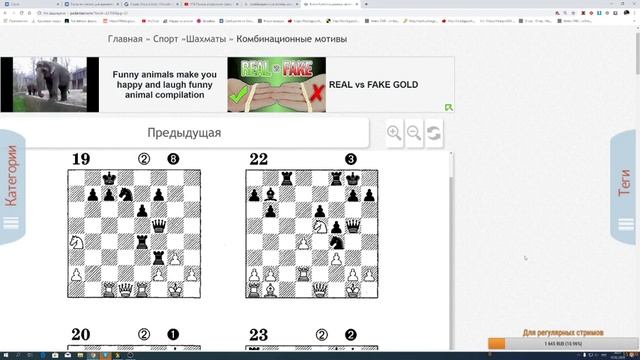 Шахматы/ Урок с Ержаном/ chess lessons смотреть онлайн