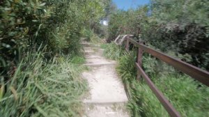 Sydney Video Walk 4K - Coastal Walk Coogee Beach Spring 2017
