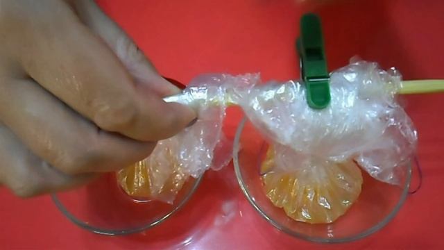 Яйца Пашот в Пакете\ Необычный Завтрак из Яиц