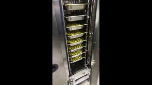 Установка УФ обеззараживания Федора Сокирянского