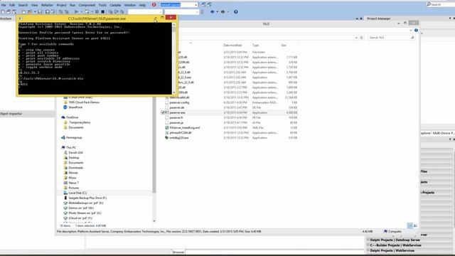 RAD Studio - Setup Guide - Preparing your Windows 32-bit and 64-bit Development Environment смотреть онлайн
