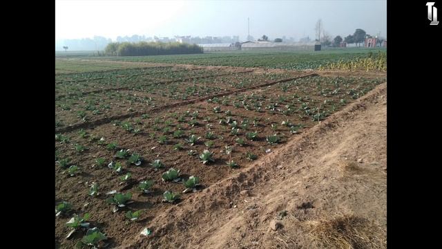 Asus Zenfone Max Pro M2 Full Review : Siddhi Baat No Bakwaas ❤️ смотреть онлайн