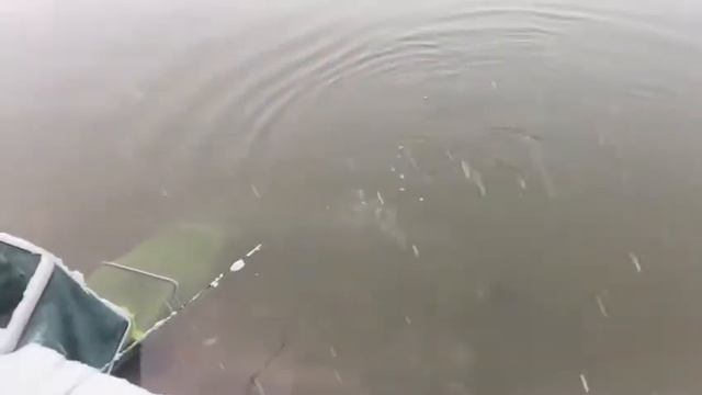 Форель. Ольгово. Безлимит. смотреть онлайн