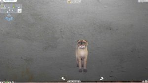 ЧУДО ГЕНЕТИКИ, МИЛАШКИ КОТЕЙКИ? - The Sims 4 "Кошки и Собаки"