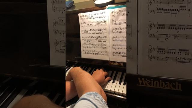 Mozart Adagio h moll (b minor) K.540 Tutorial Моцарт Адажио си минор Пульс, артикуляция, динамика смотреть онлайн