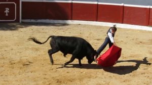 Коррида+Барселона