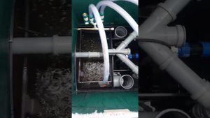 Евролос Грунт 5+ после года эксплуатации.(1)