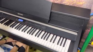 Casio Celviano AP-620