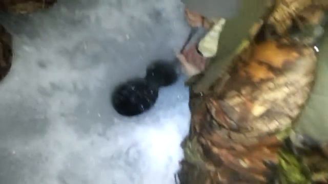 Судак на 6.5 кг на зимней рыбалке смотреть онлайн