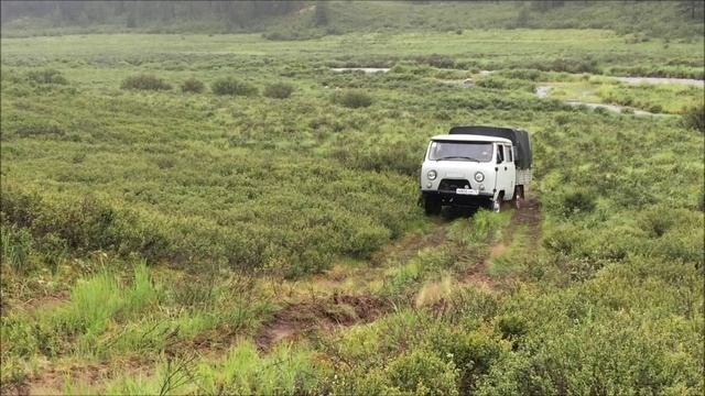 Водитель. Машина. Дороги