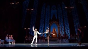 Па де де. Чорний лебідь. Балет "Лебедине озеро". Pas de deux. Black Swan. Swan Lake ballet.