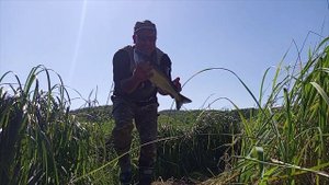 Горбуша. Рыбалка в удовольствие.mp4