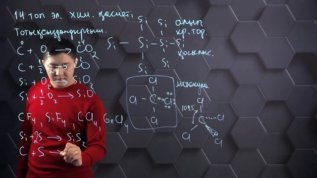 14 (IVA) топ элементтерінің және олардың қосылыстарының химиялық қасиеттері. 11 сынып.