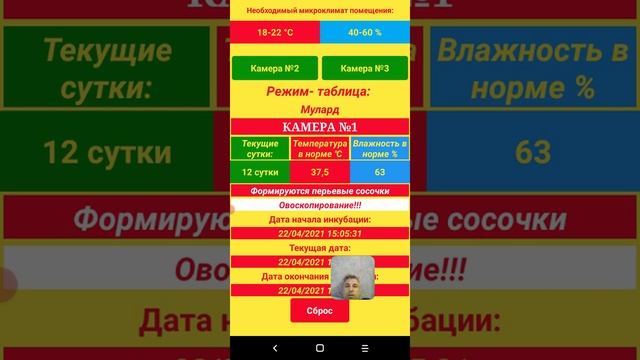 Таблица инкубации мулардов в телефоне