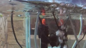 Нагреватель Aquarium Heater Xilong AT-700 200W. Зря купил. Aquarium Heater Xilong AT-700 200W