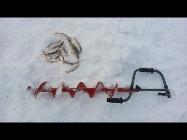 Рыбалка в конце января, немного чебака и окунь бонусом #NIK_72 смотреть онлайн