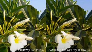 Huawei p60 pro vs Samsung galaxy S22 ultra camera test Comparison