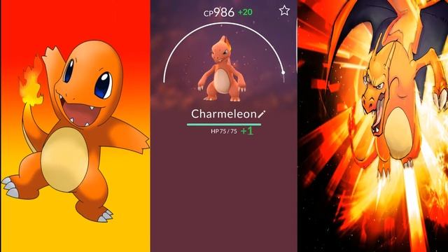 Evolving Charmanda to Charizard (full evolution) смотреть онлайн