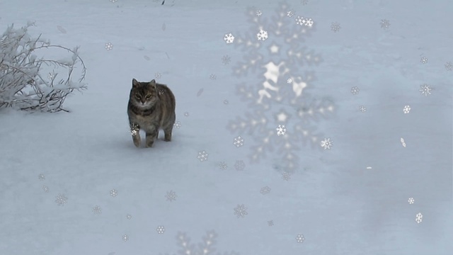 ЗИМНЯЯ  МЕЛОДИЯ. Зарисовка. муз. Андрей Комаров. смотреть онлайн