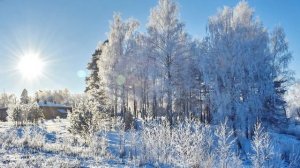 Природа Киржача и окрестностей. Любимые места.