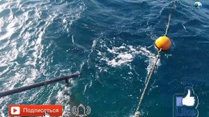 Красны флаг на море  Риф Оазис Блю Бэй Резорт 2020 Шарм эль Шейх Египет
