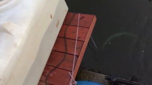 Водяной Насос для пруда водоема SunSun CTP-16000