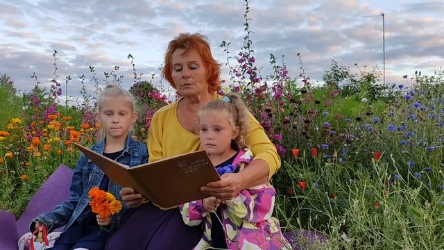 Добрые сказки Новгородская губерния автор Мария Жемерева смотреть онлайн