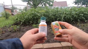 Эм Патока для приготовления удобрения Байкал, Восток эм, Сияние