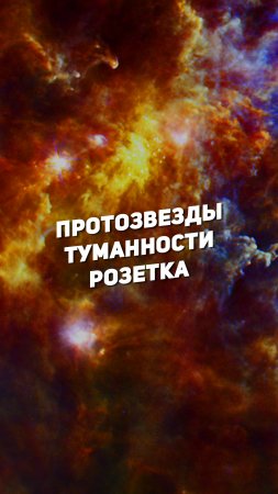 ПРОТОЗВЕЗДЫ ТУМАННОСТИ РОЗЕТКА | THE SPACEWAY