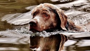 Мистические истории из жизни - Деревенские байки (3в1) Часть1.