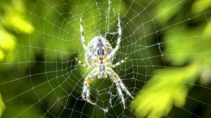 Влияние символизма на сознание людей