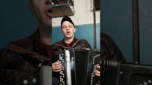Ой ты травушка зеленая Сектор газа кавер под баян