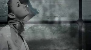 Дельфин   Дверь