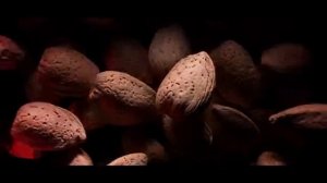 Tom Ford Lost Cherry (2018)