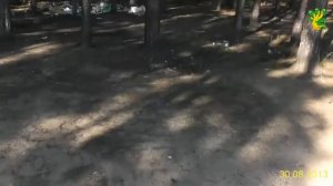 Озеро в Томской области.