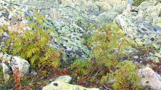 Большой Шелом - третья вершина Южного Урала