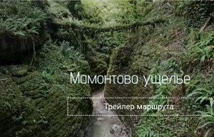 Мамонтово ущелье